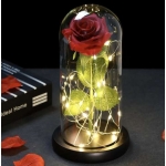 Malatec 21619 LED ruža v sklenenej váze